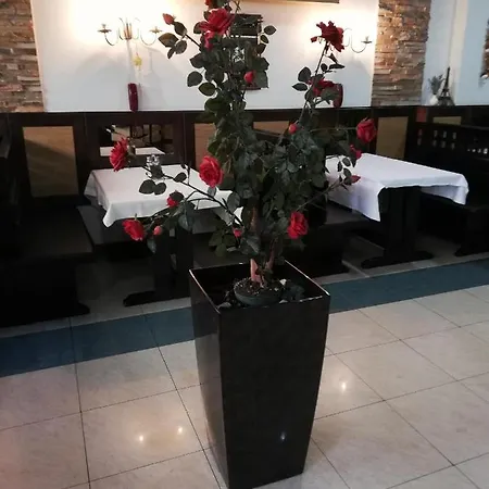 아파트 Santa Rita